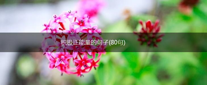 积极正能量的句子(80句),第1张