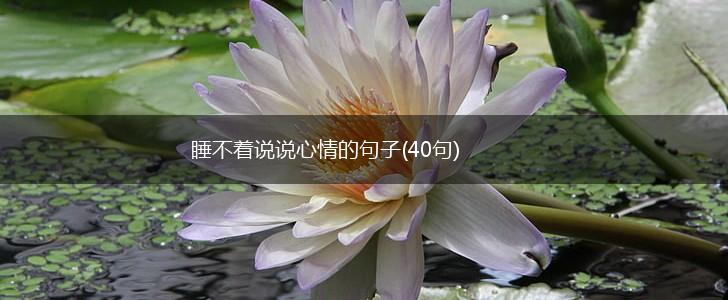 睡不着说说心情的句子(40句),第1张