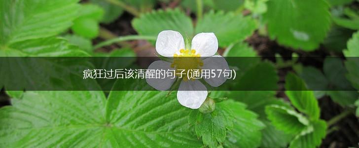 疯狂过后该清醒的句子(通用57句),第1张