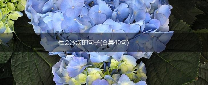 社会冷漠的句子(合集40句),第1张