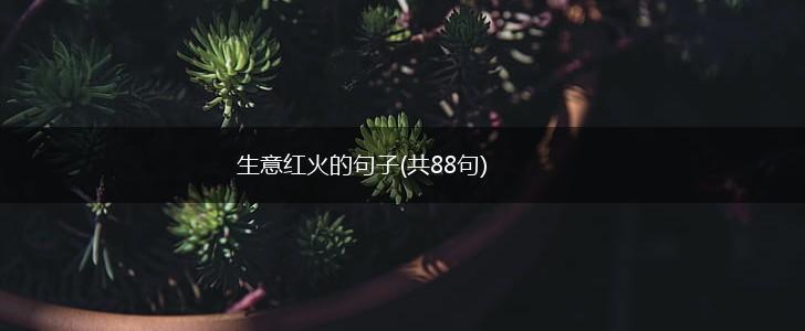 生意红火的句子(共88句),第1张