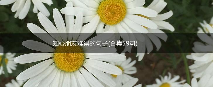 知心朋友难得的句子(合集59句),第1张
