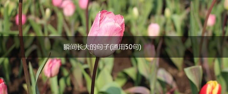 瞬间长大的句子(通用50句),第1张