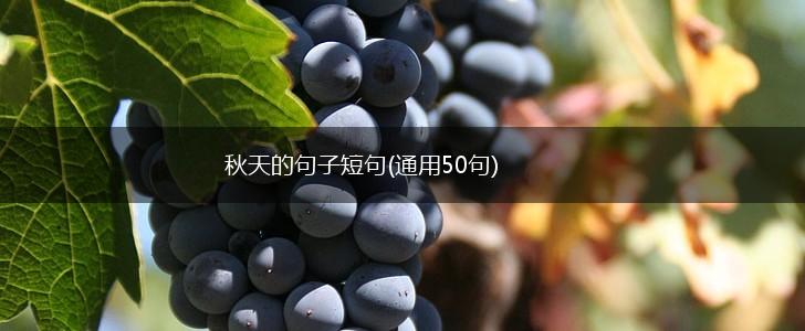 秋天的句子短句(通用50句),第1张
