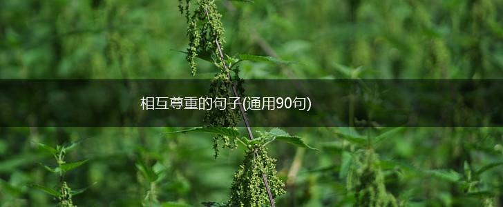 相互尊重的句子(通用90句),第1张