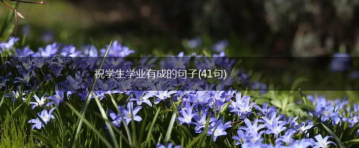 祝学生学业有成的句子(41句),第1张