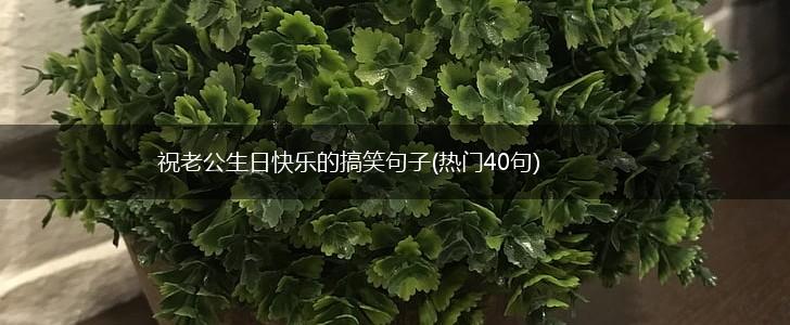 祝老公生日快乐的搞笑句子(热门40句),第1张