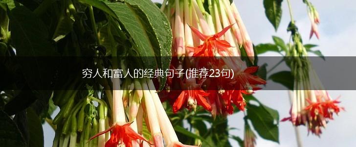 穷人和富人的经典句子(推荐23句),第1张