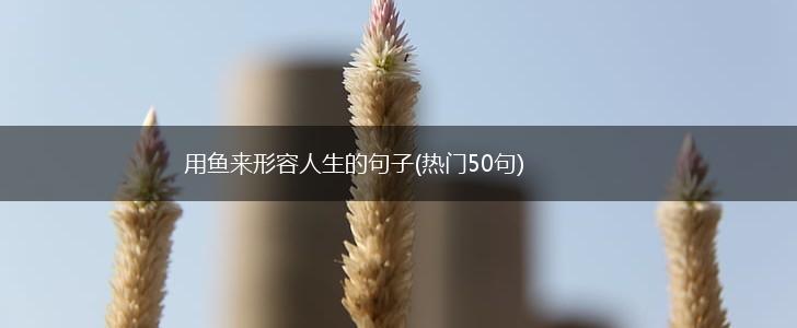 用鱼来形容人生的句子(热门50句),第1张