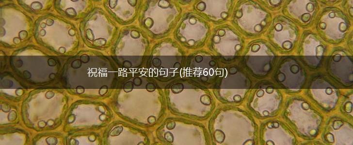 祝福一路平安的句子(推荐60句),第1张