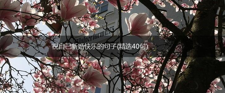 祝自己新婚快乐的句子(精选40句),第1张
