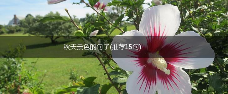 秋天景色的句子(推荐15句),第1张