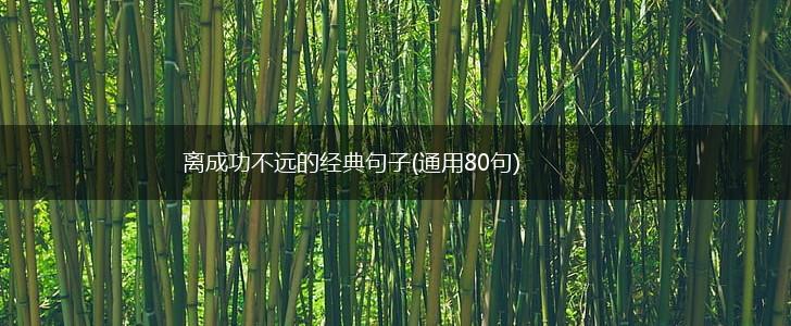 离成功不远的经典句子(通用80句),第1张