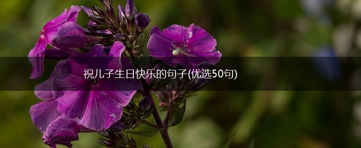 祝儿子生日快乐的句子(优选50句),第1张