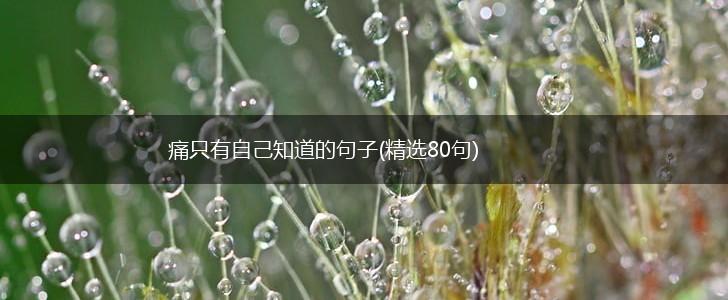 痛只有自己知道的句子(精选80句),第1张