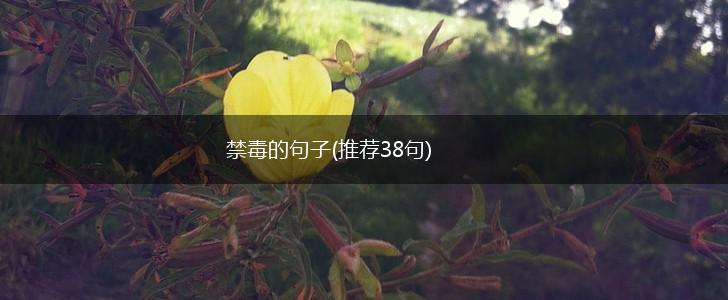 禁毒的句子(推荐38句),第1张