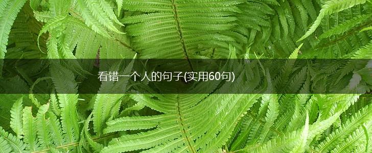 看错一个人的句子(实用60句),第1张