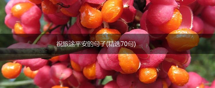 祝旅途平安的句子(精选70句),第1张