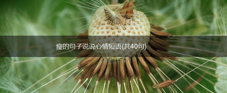 瘦的句子说说心情短语(共40句),第1张