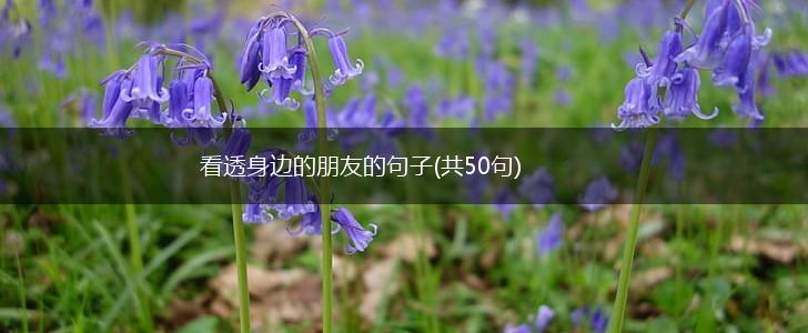 看透身边的朋友的句子(共50句),第1张