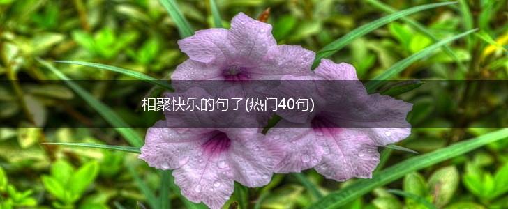 相聚快乐的句子(热门40句),第1张