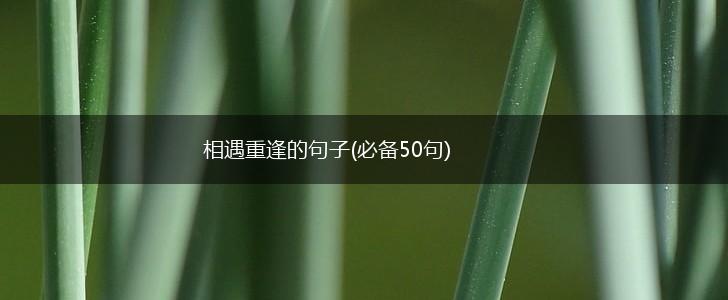 相遇重逢的句子(必备50句),第1张