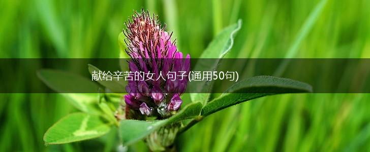 献给辛苦的女人句子(通用50句),第1张