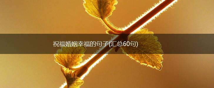 祝福婚姻幸福的句子(汇总60句),第1张