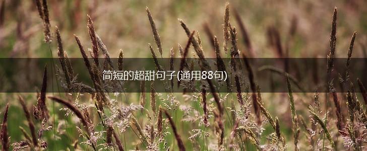 简短的超甜句子(通用88句),第1张