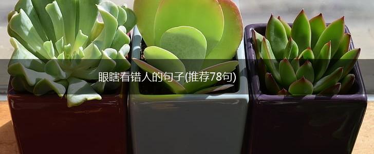 眼瞎看错人的句子(推荐78句),第1张