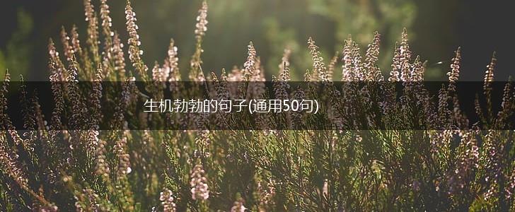 生机勃勃的句子(通用50句),第1张