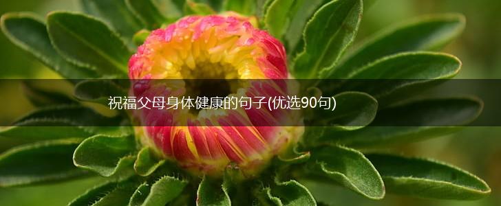 祝福父母身体健康的句子(优选90句),第1张