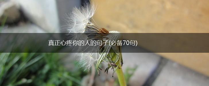 真正心疼你的人的句子(必备70句),第1张