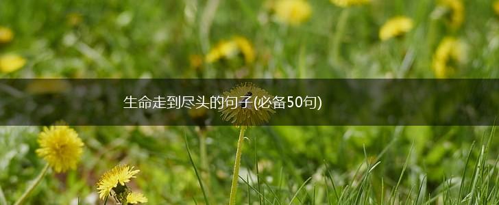 生命走到尽头的句子(必备50句),第1张