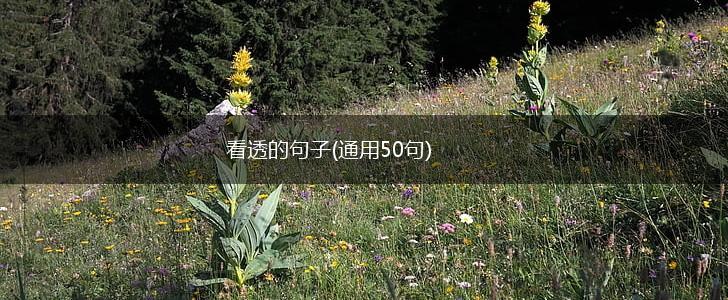 看透的句子(通用50句),第1张