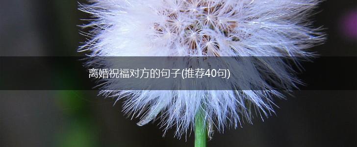 离婚祝福对方的句子(推荐40句),第1张