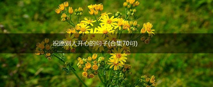 祝愿别人开心的句子(合集70句),第1张