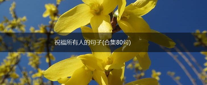 祝福所有人的句子(合集80句),第1张