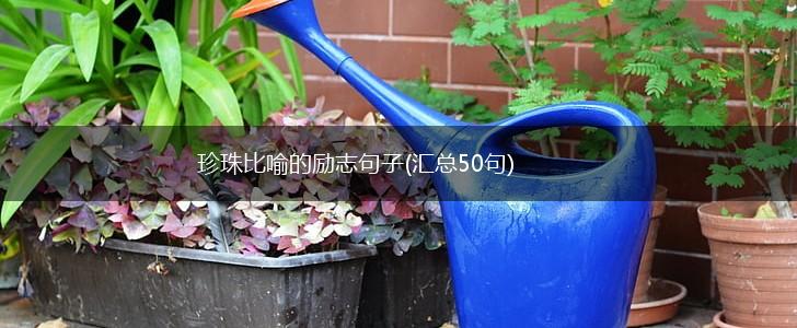 珍珠比喻的励志句子(汇总50句),第1张