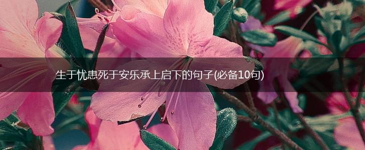 生于忧患死于安乐承上启下的句子(必备10句),第1张