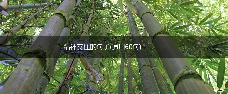 精神支柱的句子(通用60句),第1张