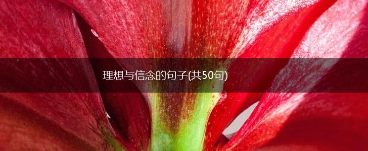 理想与信念的句子(共50句),第1张