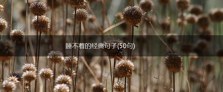 睡不着的经典句子(50句),第1张
