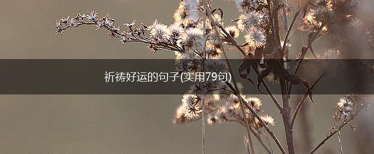 祈祷好运的句子(实用79句),第1张