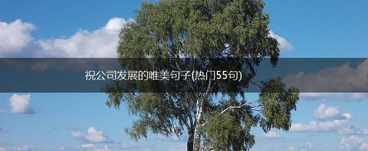祝公司发展的唯美句子(热门55句),第1张