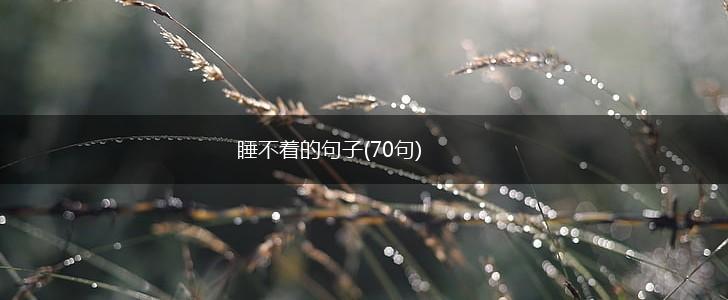 睡不着的句子(70句),第1张