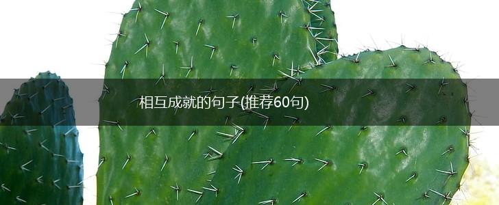 相互成就的句子(推荐60句),第1张 相互成就的句子(推荐60句),第1张