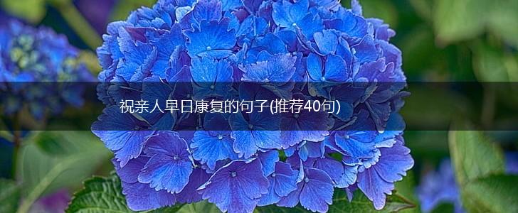 祝亲人早日康复的句子(推荐40句),第1张