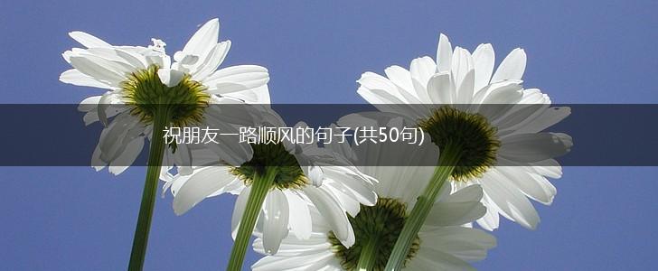 祝朋友一路顺风的句子(共50句),第1张