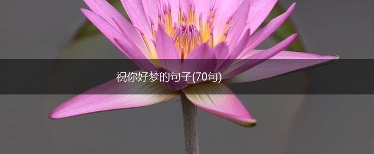 祝你好梦的句子(70句),第1张